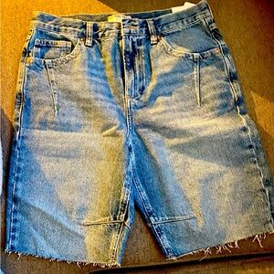 Free People Ghost Town Hi Rise Long Shorts